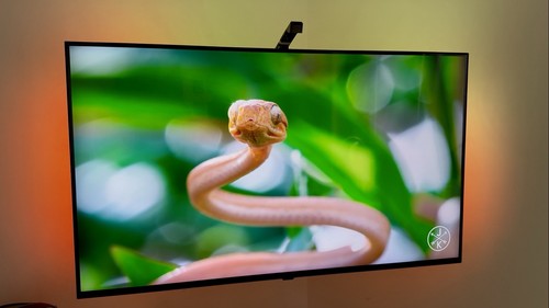 Nanocell - lg, 50”